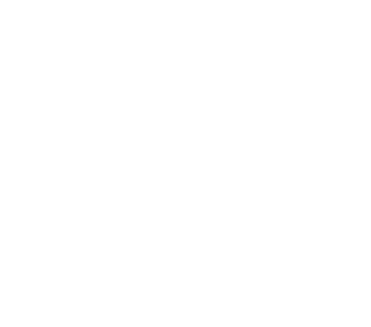 V23 Programme crest